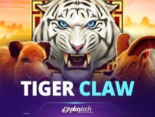 Tiger Claw screenshot